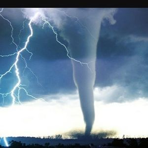 Meet your Posher, Dwight